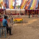 ichtv_20190407_ZDF_Lion-Circus_040_DSC01597_2000