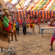 ichtv_20190407_ZDF_Lion-Circus_049_DSC01812_2000