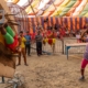 ichtv_20190407_ZDF_Lion-Circus_049_DSC01812_2000