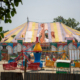 ichtv_20190407_ZDF_Lion-Circus_056_DSC_9880_2000